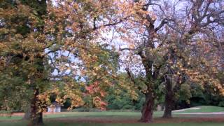 Autumn Greenkeeper Golf Course Murrayshall Scone Perth Perthshire Scotland [upl. by Axel]