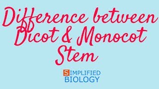 DIFFERENCE BETWEEN DICOT amp MONOCOT STEM for NEET AIIMS AIPMT JIPMER PREMED [upl. by Romie]