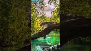 Musique Méditation Calme Relaxante  Nature Antistress  Relaxation Dormir Yoga Spa massage [upl. by Irina123]