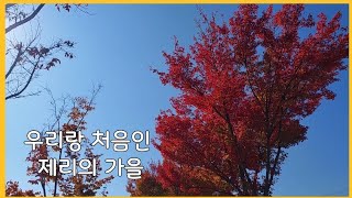 우리랑 처음인 가을을 즐기러 나간 강아지 가을단풍말티푸의일상 [upl. by Waterman]