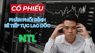 Cổ phiếu phân phối đỉnh sẽ tiếp tục lao dốc  Phân tích NTL cophieu chungkhoan taichinh [upl. by Ellsworth]