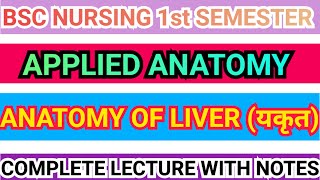 LIVER ANATOMY  APPLIED ANATOMY  BLOOD AND NERVE SUPPLY  BSC NURSING  1ST SEM [upl. by Gundry]