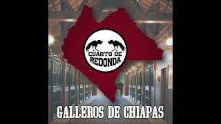 Galleros de todo Chiapas corrido [upl. by Odlanier671]