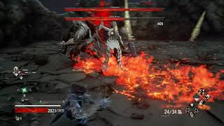 Cannoneer amp Blade Bearer Fight Code vein [upl. by Notgnillew349]