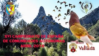 CAMPEONATO COMUNIDADES AUTONOMAS VALLADA 2016 ACOPLAMIENTO [upl. by Paulita]