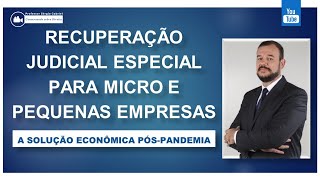 Recuperação especial para micro e pequenas empresas  Solução para a crise econômica pós pandemia [upl. by Tavie]