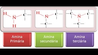 Aminas Concepto y Ejemplos [upl. by Aderf]