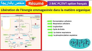 Résumé  Libération de lénergie emmagasinée dans la matière organique ملخص بالداريجة [upl. by Lorine]