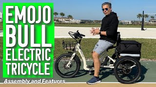 Emojo Bull Electric Tricycle Complete Assembly and Features [upl. by Adnamma651]