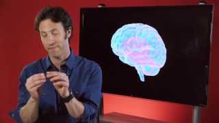 Your Brain is You A Most Complex System Part 1 of 6 [upl. by Paget]