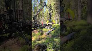 Shorts alstor woodwork wood skogsmaskiner forestry forestmachine maschine 8x8 skog 834 [upl. by Pape]