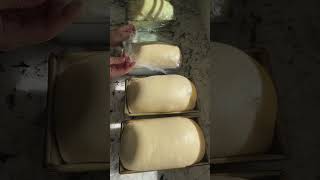 Sandwich bread youtubeshorts sourdoughbread breadtypes breadrecipe bread [upl. by Innus]