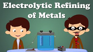 Electrolytic Refining of Metals  aumsum kids science education children [upl. by Aniram]