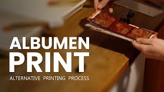 Alternative Printing Process Albumen [upl. by Rezal60]