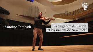 Épisode 1  Le Concerto pour alto de Bartók  Antoine Tamestit [upl. by Macswan]