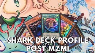 Competitive Shark deck profile post Maze of Millennia MZMI January 2024 TCG Yugioh [upl. by Leahpar]