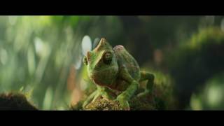 Berocca Chameleon dancing to Panjabi MC  Be More Berocca Ad  Berocca [upl. by Noland]