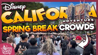 How CROWDED is Disney California Adventure  Spring Break 2024 [upl. by Destinee]