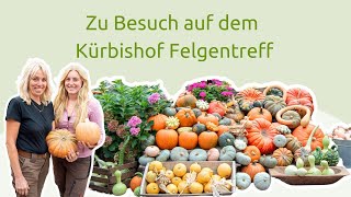 Zu Besuch auf dem Kürbishof Felgentreff  heimischelandwirtschaft [upl. by Hcurob]