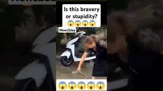 Is this bravery or stupidityfunny video [upl. by Annaesor]