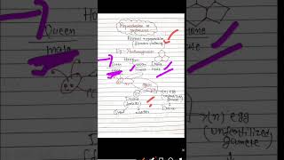 class12biology reproductioninorganism parthenogenesis neet biology boardexam neet shorts [upl. by Nhar]