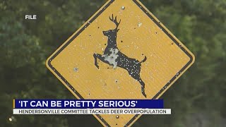 Hendersonville TN committee tackles deer overpopulation [upl. by Ynove]