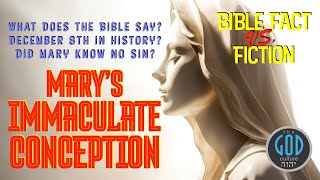 Marys Immaculate Conception Bible Fact vs Fiction [upl. by Leddy617]