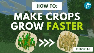 Make Crops Grow Faster With Commands Random Tick Speed [upl. by Chirlin206]