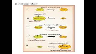 Receptor Theory Receptor occupation model amp Two state receptor theory [upl. by Qidas275]