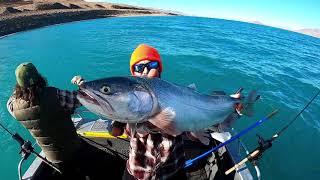 Land Of The Giants Pyramid Lake 2020 Lahontan Cutthroat Trout Fishing [upl. by Ecyor]