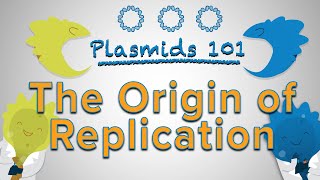 Origin of Replication  Plasmids 101 [upl. by Carrew]