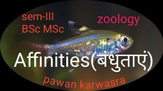 Affinities of hemichordata amp echinodermata cephalochordata and chordata । BSc I MSc । [upl. by Direj]