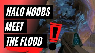 HALO noobs meet the flood FOR THE FIRST TIME  compilation [upl. by Sacrod]