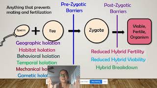 Biological Species Concept AP Bio Topic 710 [upl. by Zetrac911]