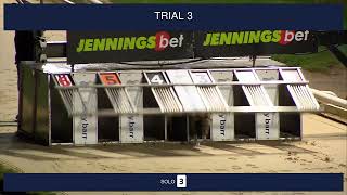 Perry Barr Trials on 16th November 2024 [upl. by Pournaras934]