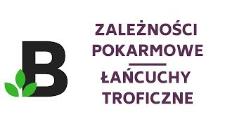 Zależności pokarmowe Łańcuchy troficzne  ekologia  KOREPETYCJE z BIOLOGII  165 [upl. by Gussi]