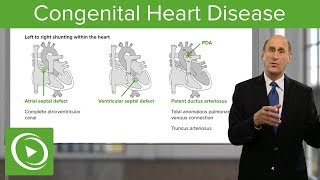 The Easy Way to Understand Congenital Heart Disease 🫀  Cardiology [upl. by Wanonah]