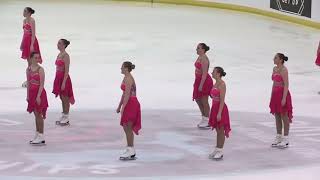 MICHIGAN STATE SYNCHRONIZED SKATING 2019  Nationals in Plymouth MI [upl. by Carberry369]