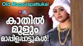 Mappila Cover Songs  Mappila Pattukal Cover songs Mappilapattukal Mappila Pattukal Malayalam [upl. by Brelje]