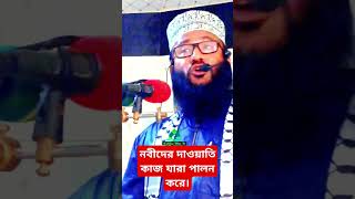 নবীদের দাওয়াতি কাজ যারা পালন করে। Mawlana Multi Abu Hanif Ishaki shortvideo sabihawaztv share [upl. by Igiul]