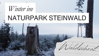 Exploring Winter in Naturpark Steinwald Bavaria Germany  Stunning Nature Videography [upl. by Sigismondo31]