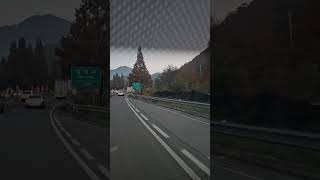 🌲 The road view  6 go to work in miryang city  November 252024 [upl. by Mayyahk911]