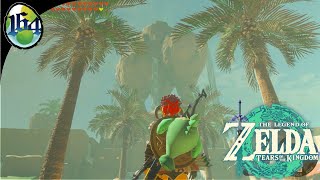 Zelda TOTK 164 Look At Those Palm Trees [upl. by Anohsal]