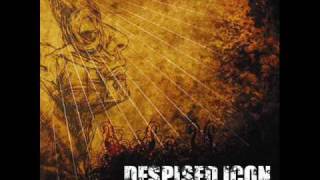 Despised Icon  Immaculate [upl. by Adnic]