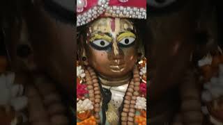 Banke Bihari aaye tumhari Sharantulsiji shyambhajan radheshyam laddu 🙏🙏🙏❤️❤️❤️ short video [upl. by Ahseuqal]