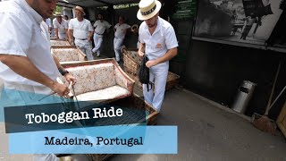 Bonus Video  Full Toboggan Ride in Funchal Madeira Island Portugal [upl. by Nnylirak]