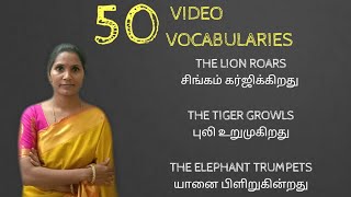 50th video amp 50 Vocabularies   Vocabulary 11  Thanks For Your support [upl. by Aneelak]