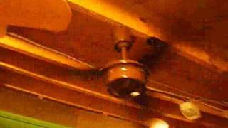 Commander Pacific Breeze Ceiling Fan [upl. by Mita]