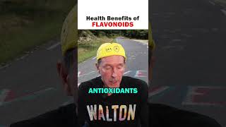 The Many Health Benefits of Flavonoids [upl. by Enimzzaj]