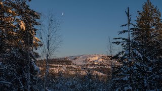 Fjällsemestern är nära [upl. by Casimire924]